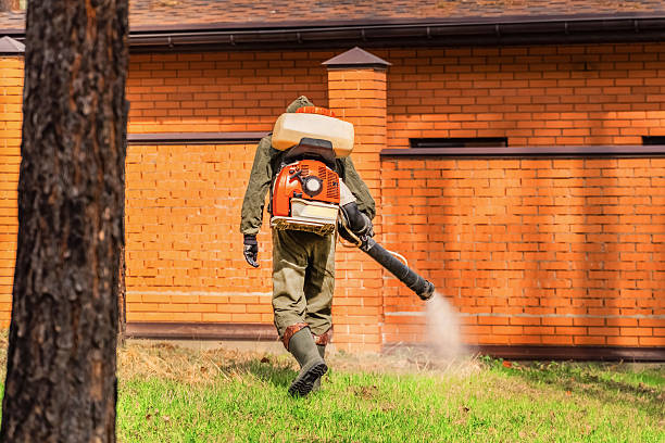 Trusted Ant Control service in Venersborg, WA - Nex Pest Control